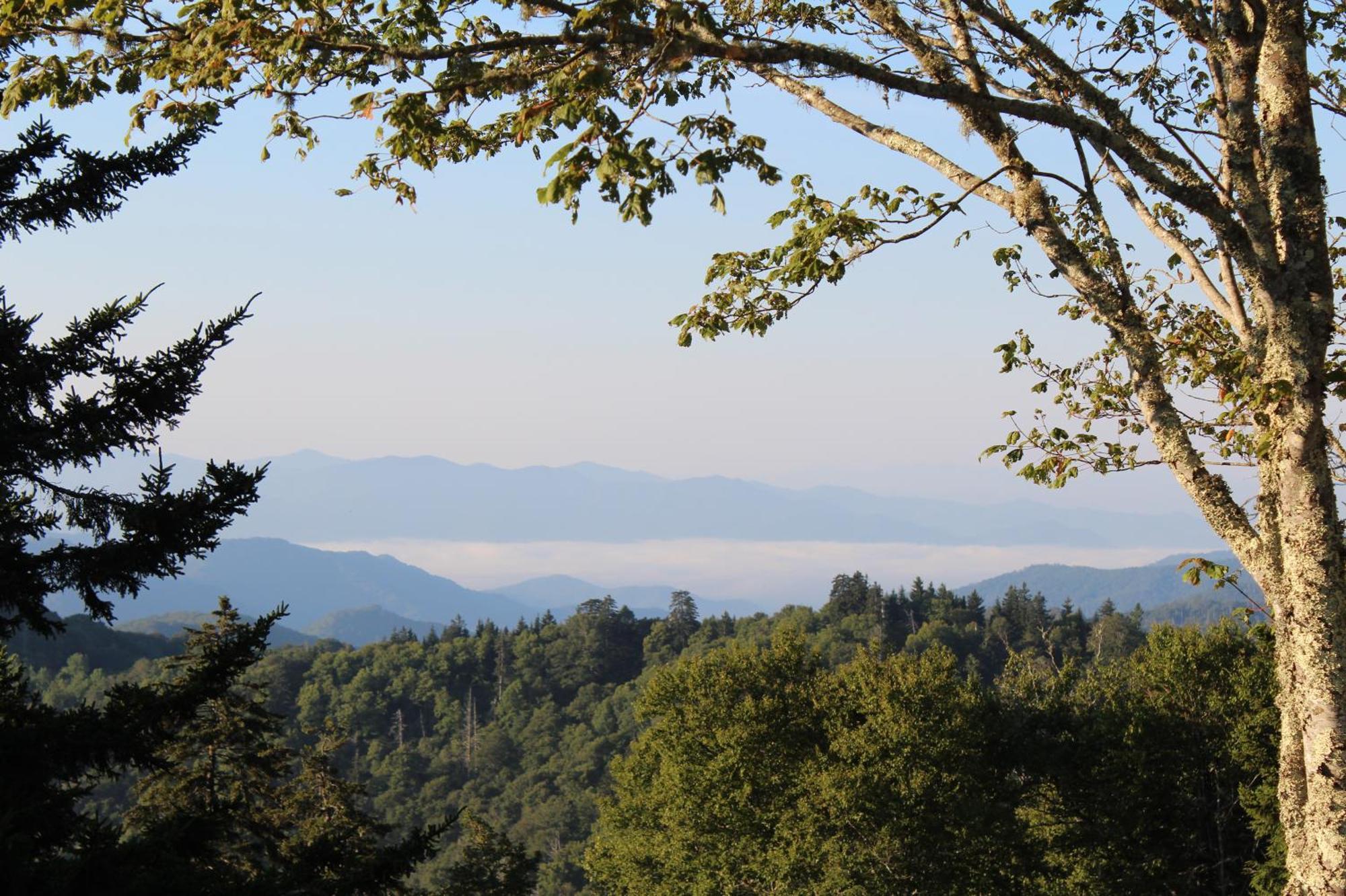Apartamento Stairway To Heaven, Breathtaking Mtn Views Indoor Pool & Hot Tub Gatlinburg Exterior foto